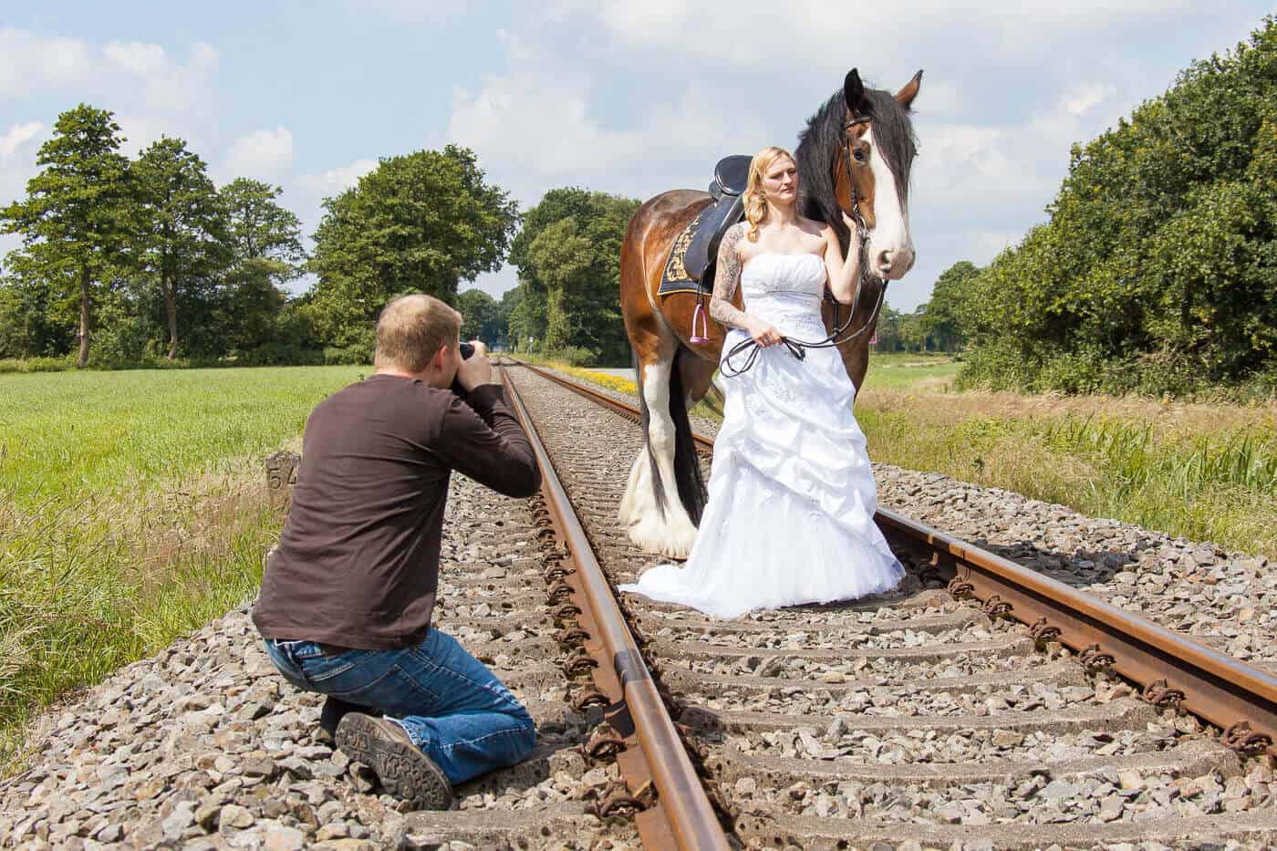 Fotoshooting Braut mit Pferd Hunde in der Natur