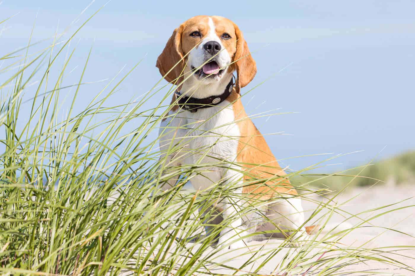 Fotoshooting auf Norderney