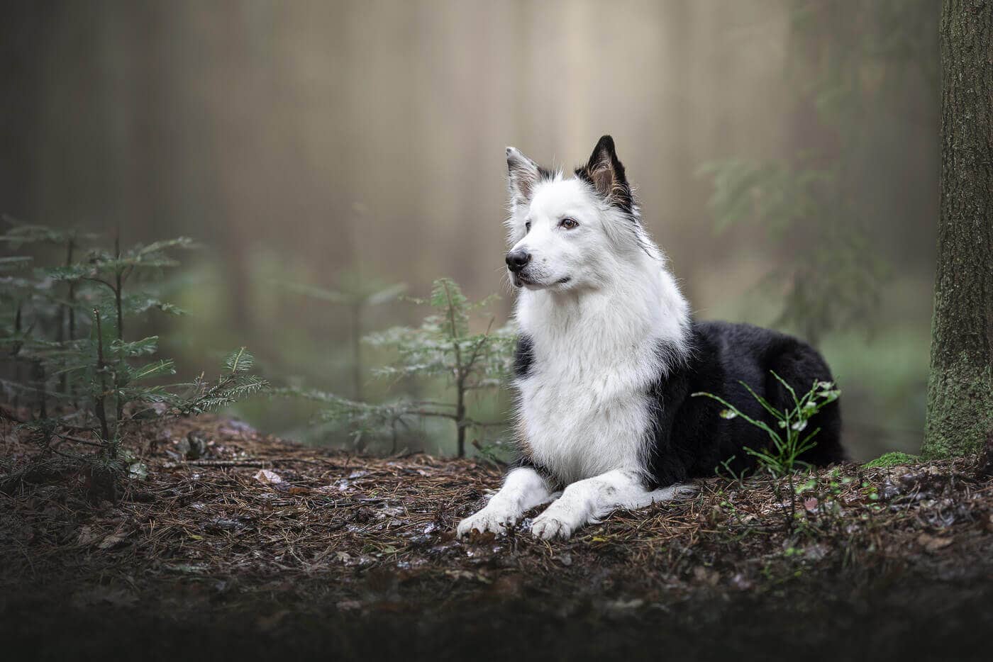 Fotograf Thore Scheu 0389