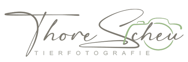 Tierfotograf Thore Scheu | Ostfriesland & Oldenburg.