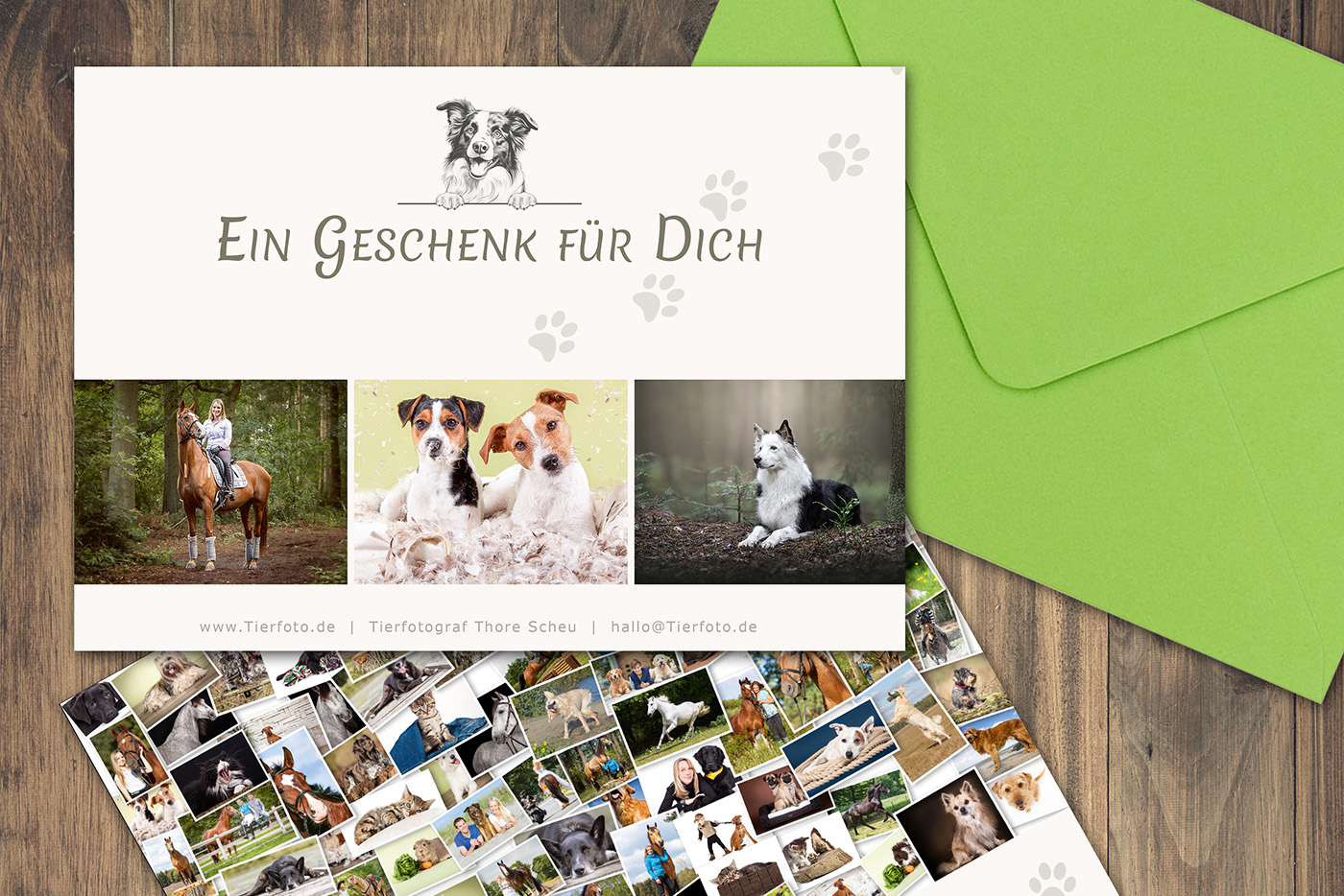 Gutschein Hundefotografie 3x2 Gutschein für ein Hundefotoshooting